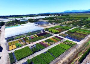 how to start a plant nursery business